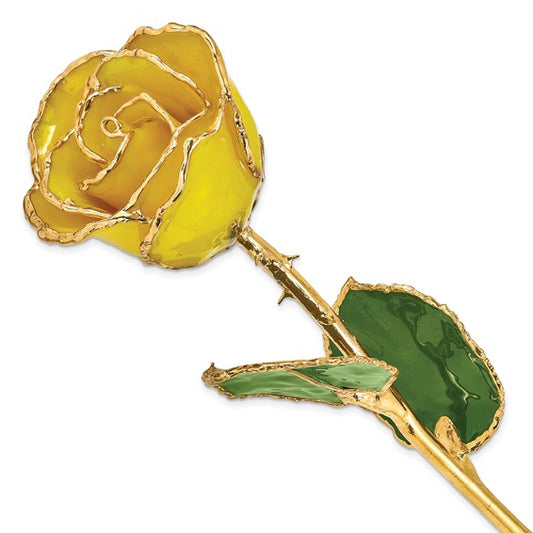 Lacquer Dipped Gold Trimmed Yellow Real Rose