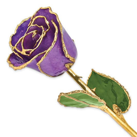 Lacquer Dipped Gold Trimmed Lilac Real Rose