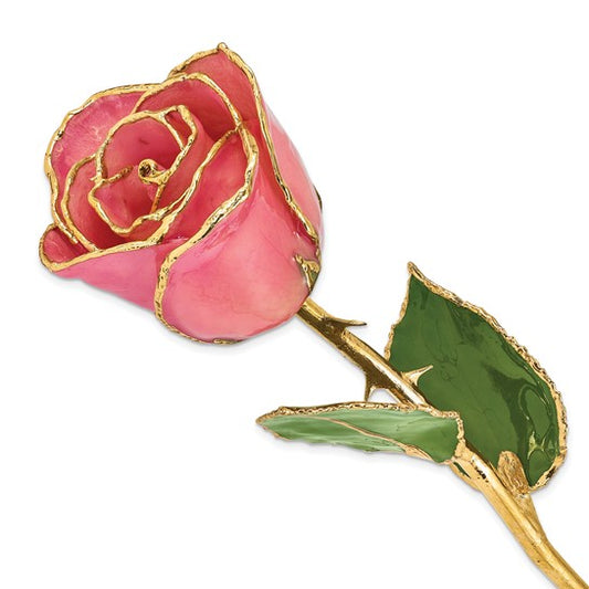 Lacquer Dipped Gold Trimmed Pink Real Rose