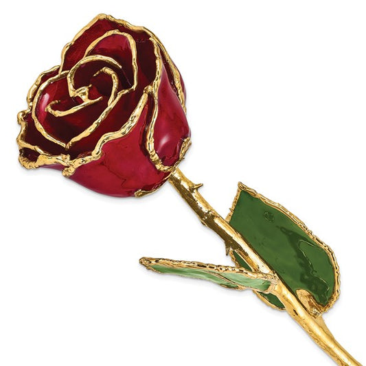 Lacquer Dipped Gold Trimmed Burgundy Real Rose