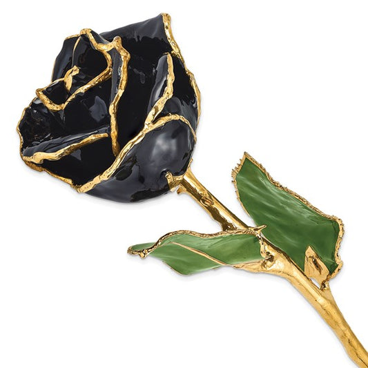 Lacquer Dipped Gold Trimmed Black Real Rose
